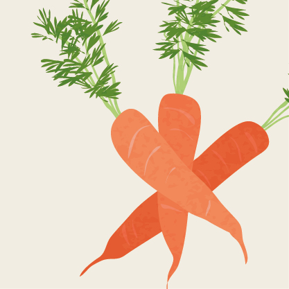 VERDURAS_Y_HORTALIZAS_ECOLOGICAS