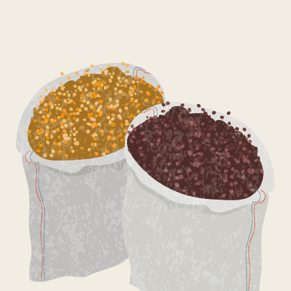 LEGUMBRES_ECOLOGICAS