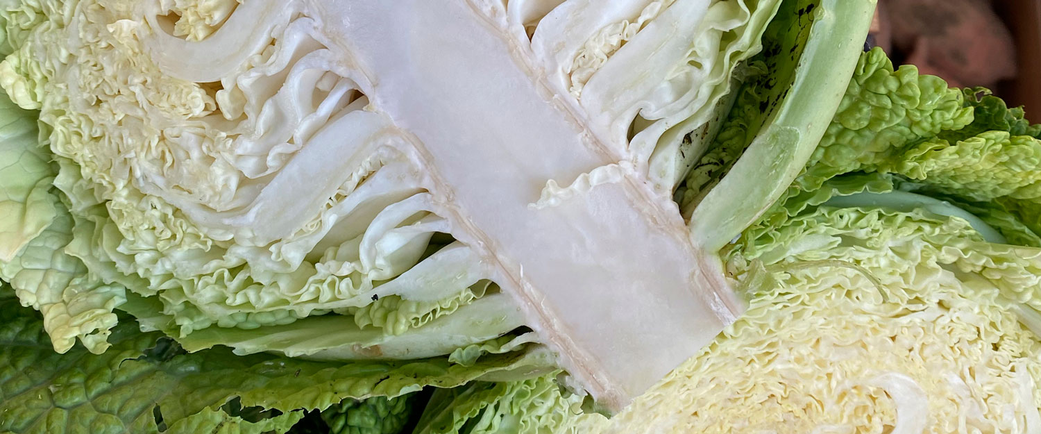 Verduras ecológicas de La Rioja